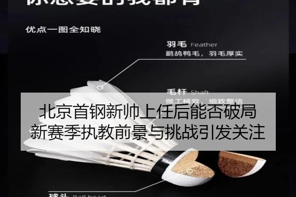 北京首钢新帅上任后能否破局 新赛季执教前景与挑战引发关注